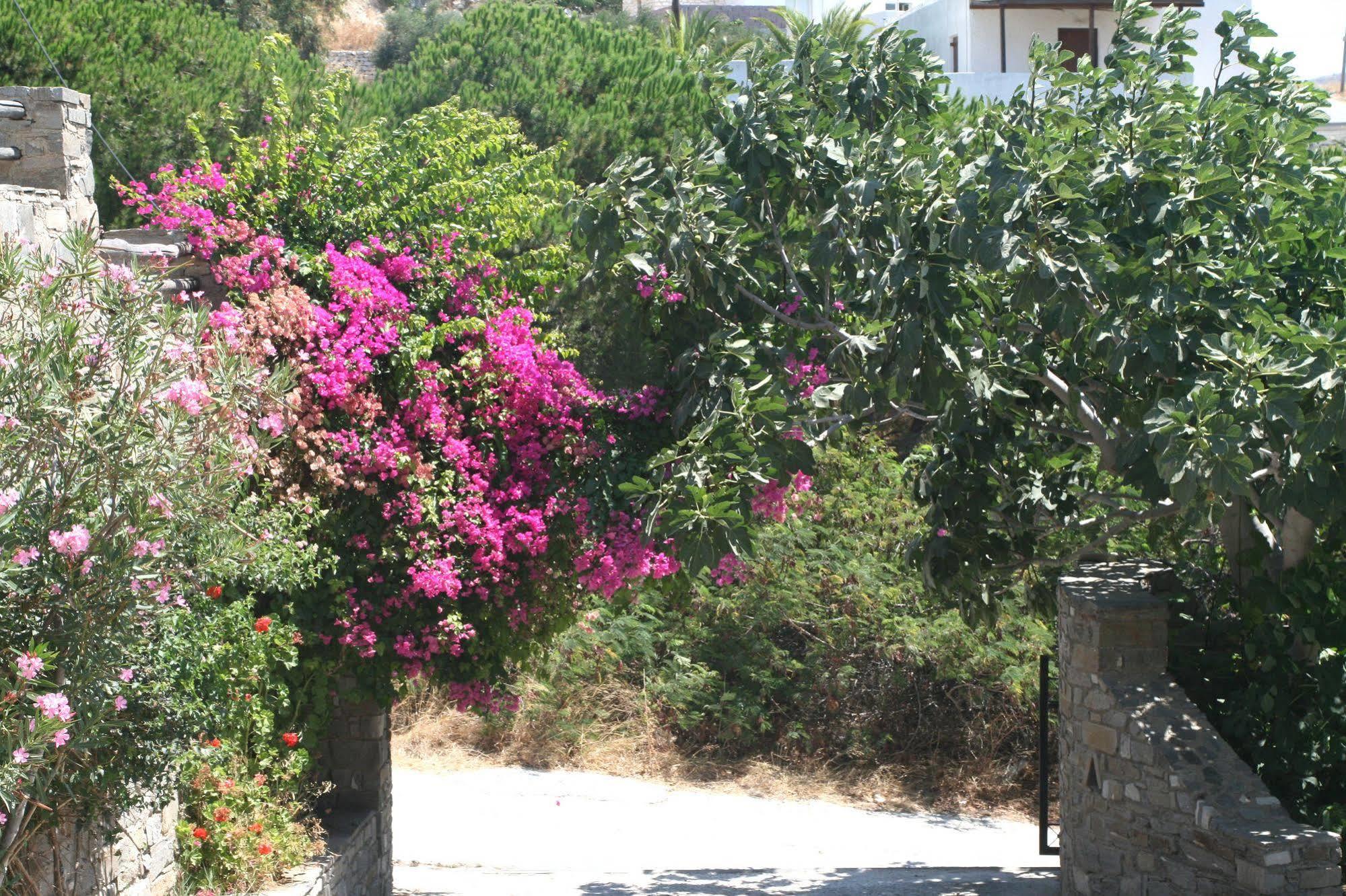 Villas Georgy Πάρος Εξωτερικό φωτογραφία