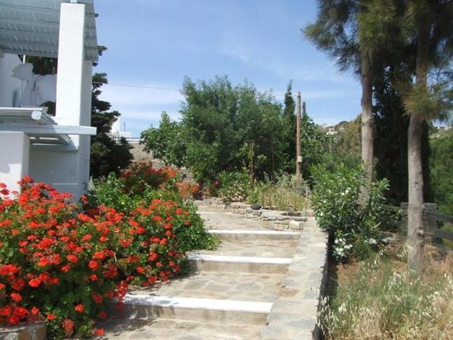 Villas Georgy Πάρος Εξωτερικό φωτογραφία