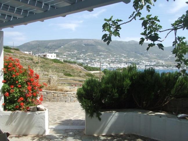 Villas Georgy Πάρος Εξωτερικό φωτογραφία