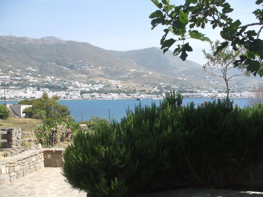 Villas Georgy Πάρος Εξωτερικό φωτογραφία